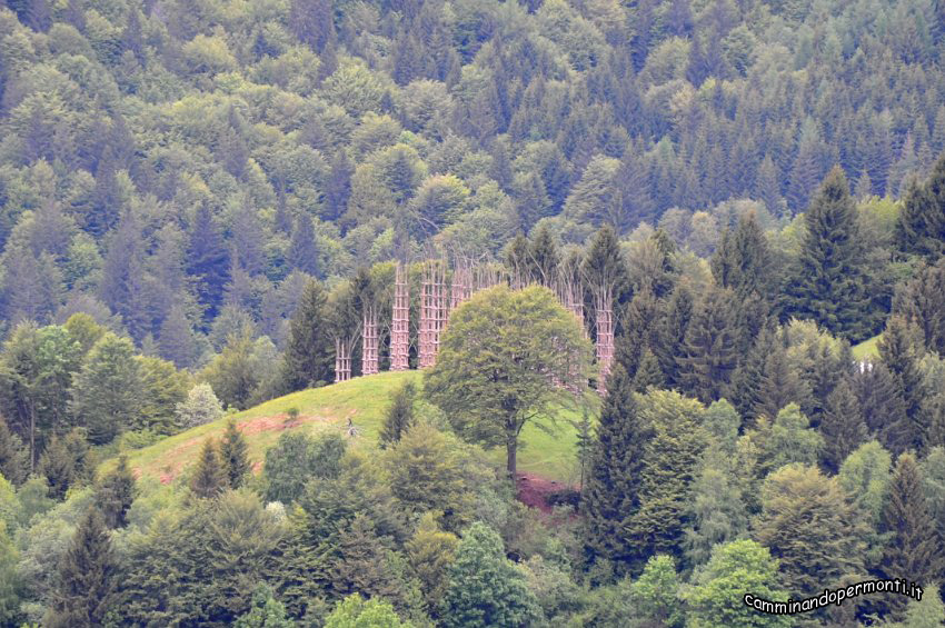 022 Cattedrale Vegetale.jpg